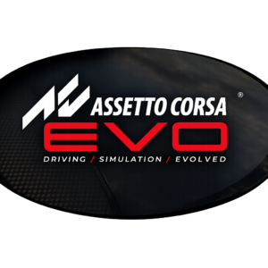 Assetto Corsa EVO Dedicated Server NL (1 Month)